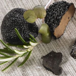 Truffe Brisure Melanosporum  