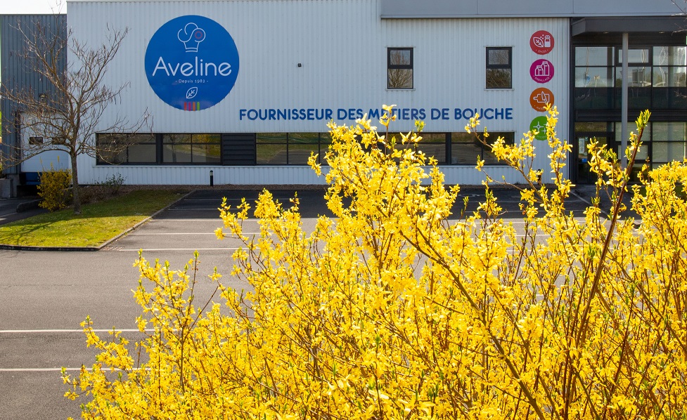 Contact - Aveline Pro